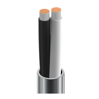 Belden| 2 core Speaker cable 12AWG TC Twisted Pair| 8477 - RedTechBox