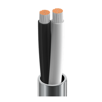 Belden| 2 core Speaker cable 14 AWG Twisted Pair| 8473 - RedTechBox